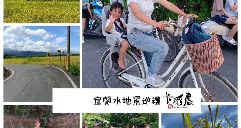 卡稻農