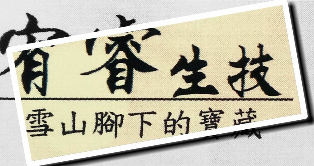 宥睿生技有限公司 宥睿生技有限公司