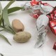 星源茶園 星源茶園
