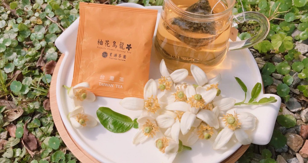 星源茶園 星源茶園