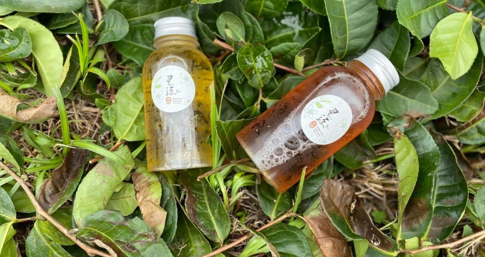 星源茶園 星源茶園