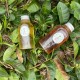 星源茶園 星源茶園