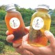 星源茶園 星源茶園