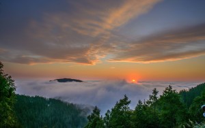 森林靜謐體驗自然之旅 - 太平山半日探索(半日遊) 森林靜謐體驗自然之旅 - 太平山半日探索(半日遊)