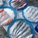 Daxi Fishery Port
